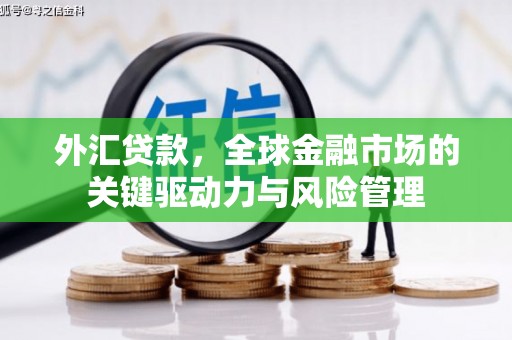 沂源外汇贷款，全球金融市场的关键驱动力与风险管理