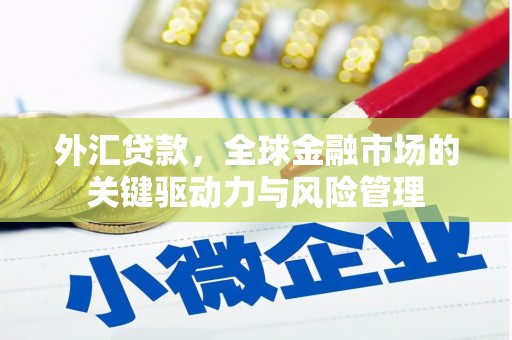 沂源外汇贷款，全球金融市场的关键驱动力与风险管理