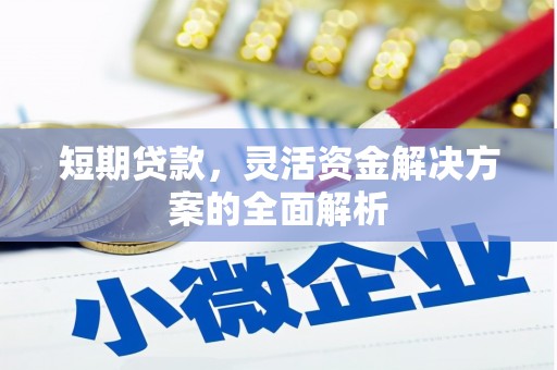沂源短期贷款，灵活资金解决方案的全面解析