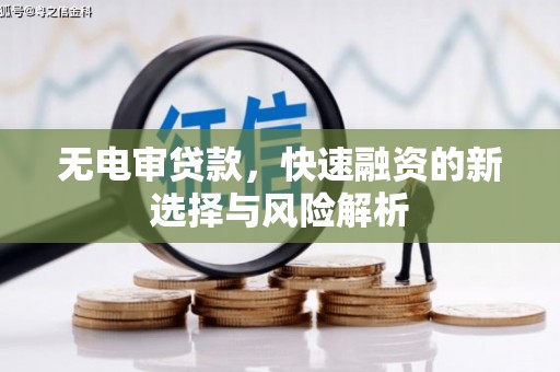 沂源无电审贷款，快速融资的新选择与风险解析