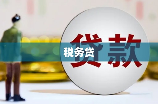 沂源税务贷
