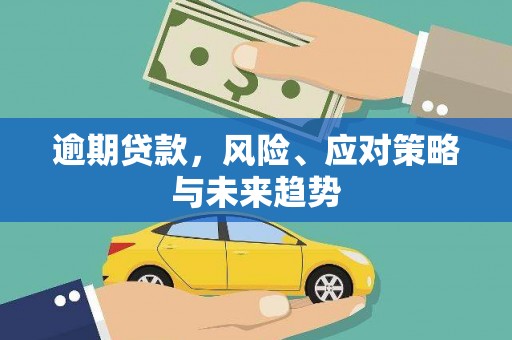 沂源逾期贷款，风险、应对策略与未来趋势