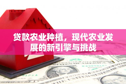 沂源贷款农业种植，现代农业发展的新引擎与挑战