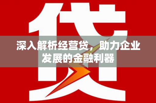 沂源深入解析经营贷，助力企业发展的金融利器