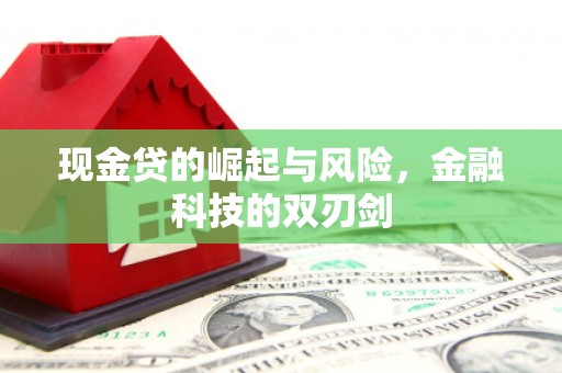 沂源现金贷的崛起与风险，金融科技的双刃剑
