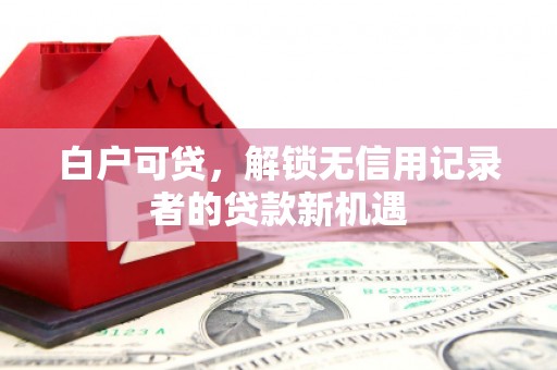 沂源白户可贷，解锁无信用记录者的贷款新机遇