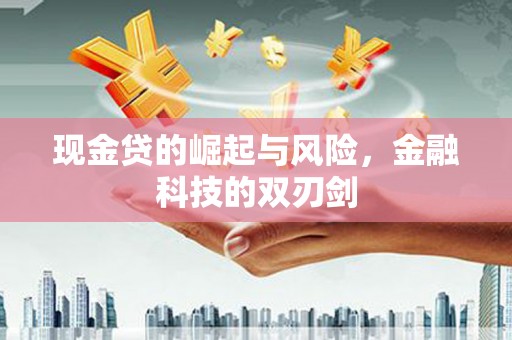 沂源现金贷的崛起与风险，金融科技的双刃剑