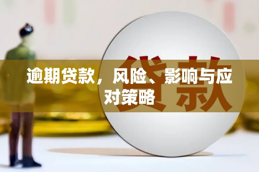 沂源逾期贷款，风险、影响与应对策略