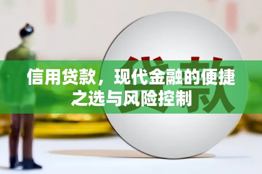 沂源信用贷款，现代金融的便捷之选与风险控制