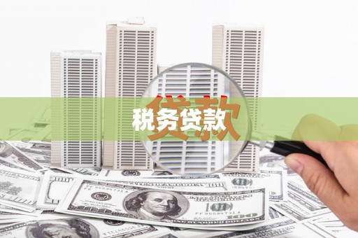 沂源税务贷款