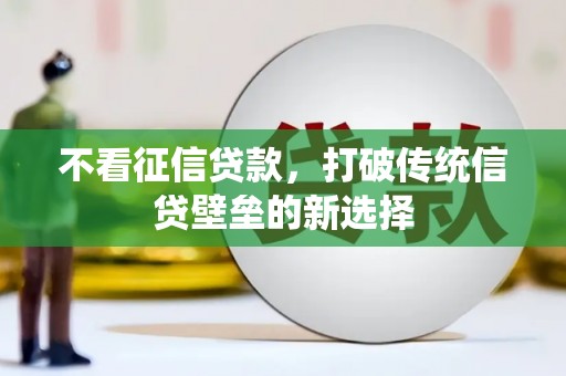 沂源不看征信贷款，打破传统信贷壁垒的新选择
