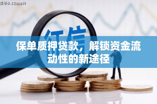 沂源保单质押贷款，解锁资金流动性的新途径