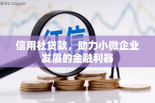 沂源信用社贷款，助力小微企业发展的金融利器