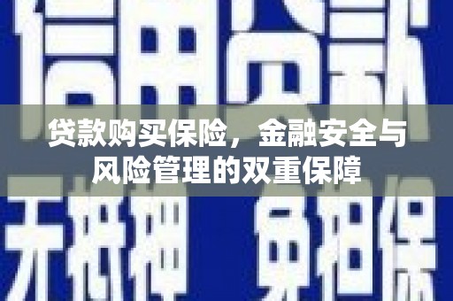 沂源贷款购买保险，金融安全与风险管理的双重保障