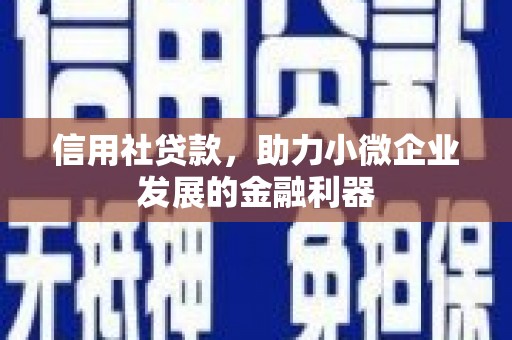沂源信用社贷款，助力小微企业发展的金融利器