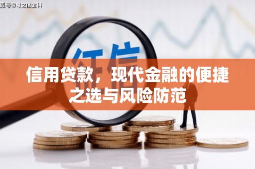 沂源信用贷款，现代金融的便捷之选与风险防范