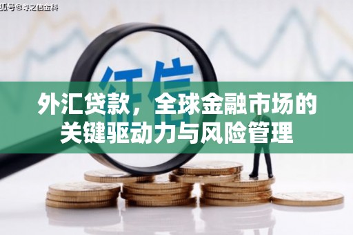 沂源外汇贷款，全球金融市场的关键驱动力与风险管理