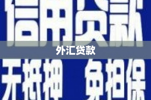 沂源外汇贷款