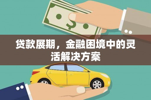 沂源贷款展期，金融困境中的灵活解决方案