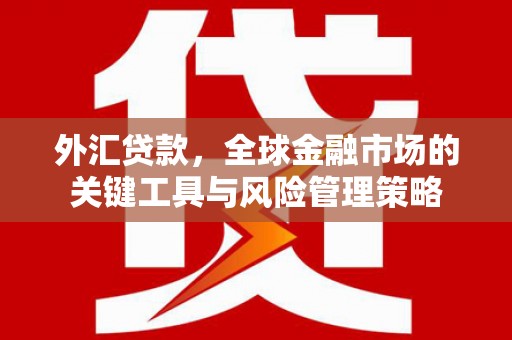 沂源外汇贷款，全球金融市场的关键工具与风险管理策略