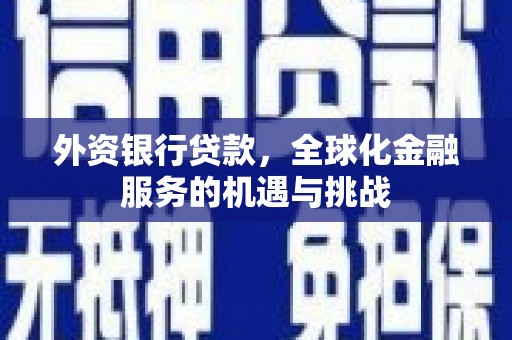 沂源外资银行贷款，全球化金融服务的机遇与挑战