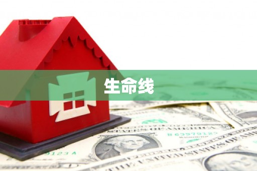 沂源生命线