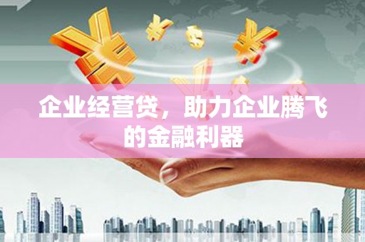 沂源企业经营贷，助力企业腾飞的金融利器