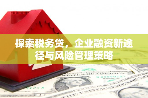 沂源探索税务贷，企业融资新途径与风险管理策略