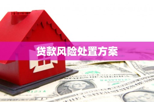 沂源贷款风险处置方案