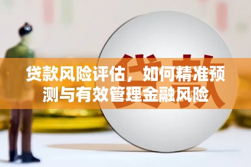 沂源贷款风险评估，如何精准预测与有效管理金融风险