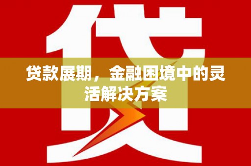 沂源贷款展期，金融困境中的灵活解决方案