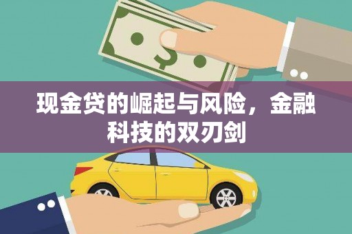 沂源现金贷的崛起与风险，金融科技的双刃剑