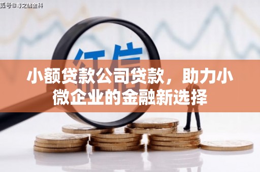 沂源小额贷款公司贷款，助力小微企业的金融新选择
