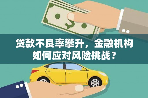 沂源贷款不良率攀升，金融机构如何应对风险挑战？