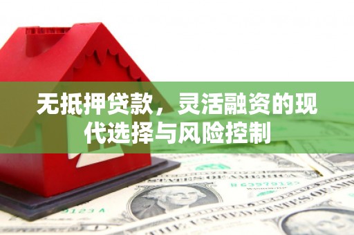 沂源无抵押贷款，灵活融资的现代选择与风险控制