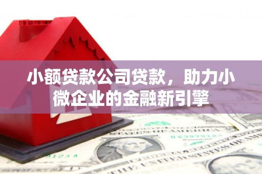 沂源小额贷款公司贷款，助力小微企业的金融新引擎