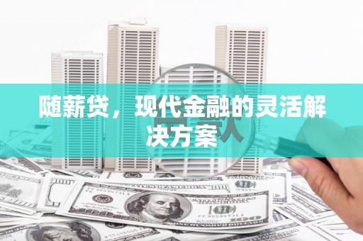 沂源随薪贷，现代金融的灵活解决方案