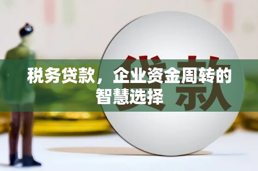 沂源税务贷款，企业资金周转的智慧选择