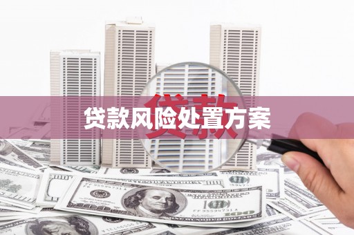 沂源贷款风险处置方案