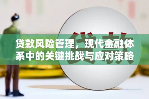 沂源贷款风险管理，现代金融体系中的关键挑战与应对策略