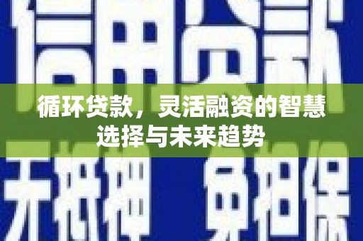 沂源循环贷款，灵活融资的智慧选择与未来趋势