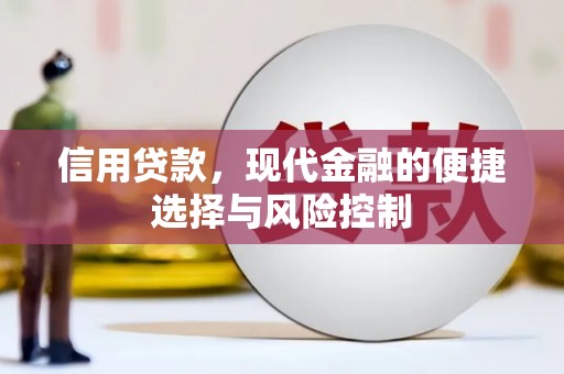 沂源信用贷款，现代金融的便捷选择与风险控制
