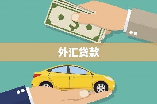 沂源外汇贷款