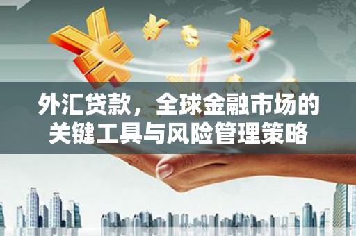 沂源外汇贷款，全球金融市场的关键工具与风险管理策略