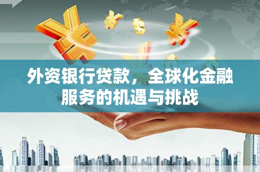 沂源外资银行贷款，全球化金融服务的机遇与挑战