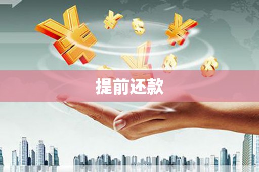 沂源提前还款