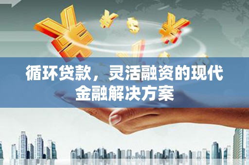 沂源循环贷款，灵活融资的现代金融解决方案