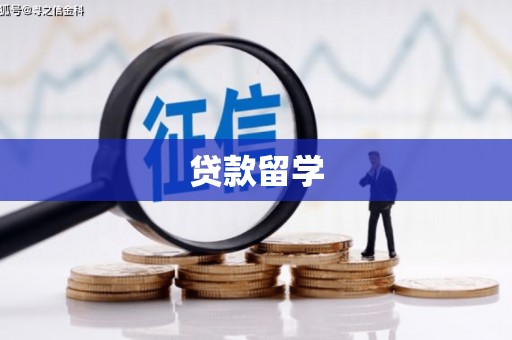 沂源贷款留学