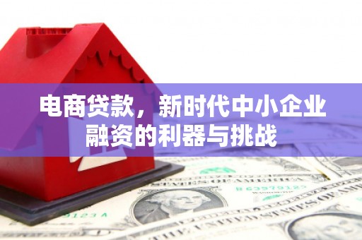 沂源电商贷款，新时代中小企业融资的利器与挑战