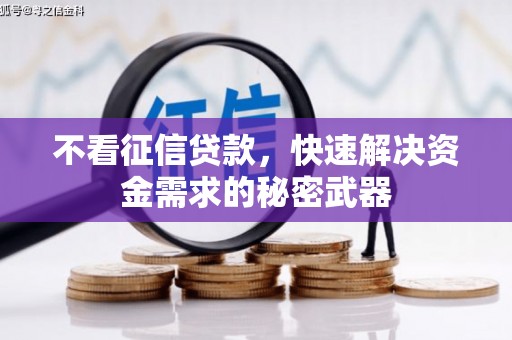 沂源不看征信贷款，快速解决资金需求的秘密武器